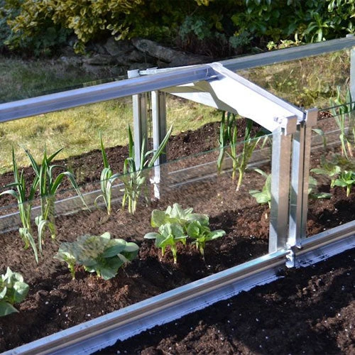 Access Glass Cloche - Image 4