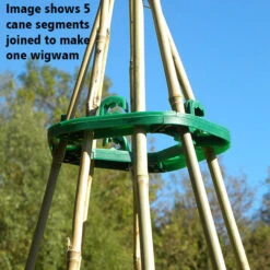 Cane Supports