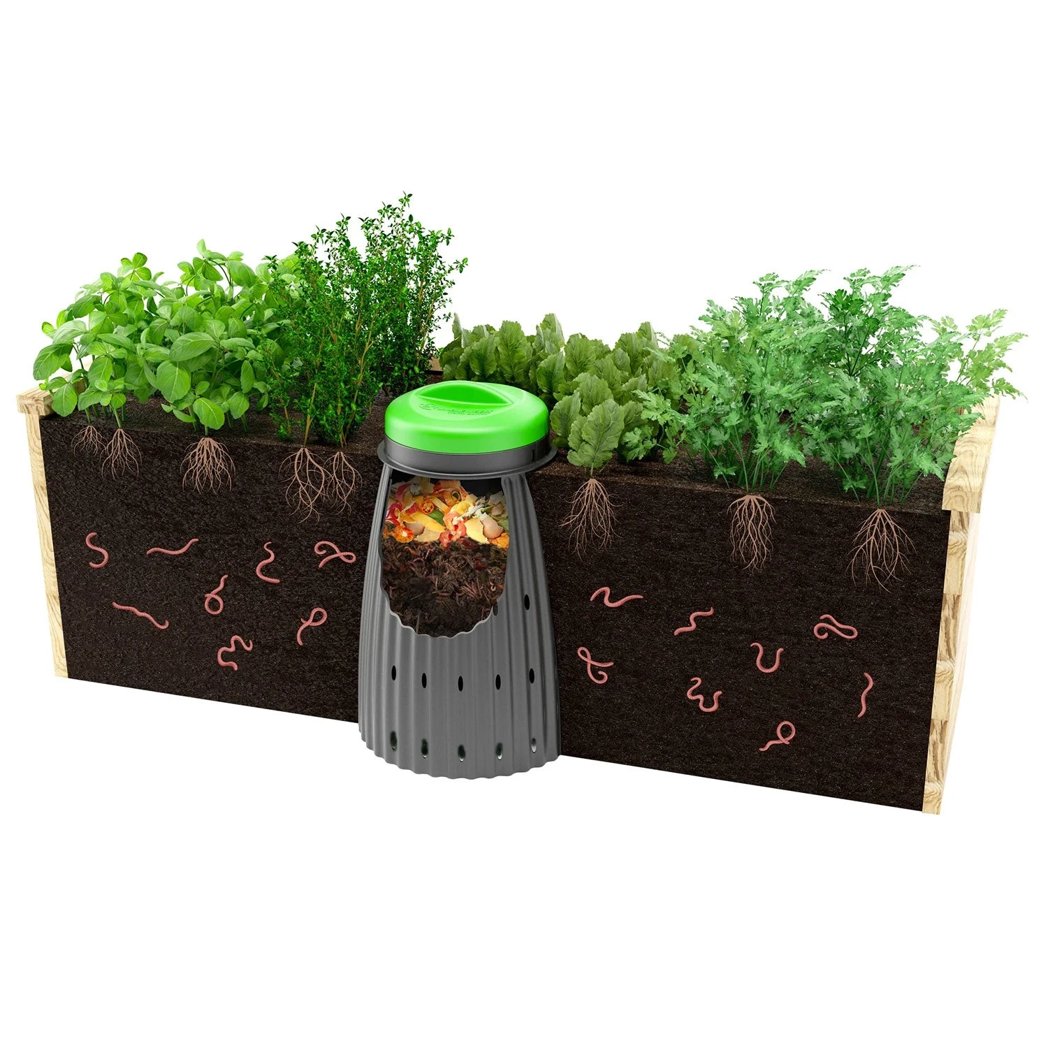 Tumbleweed Worm Buffet Worm Farm Complete Package Deal - Image 2