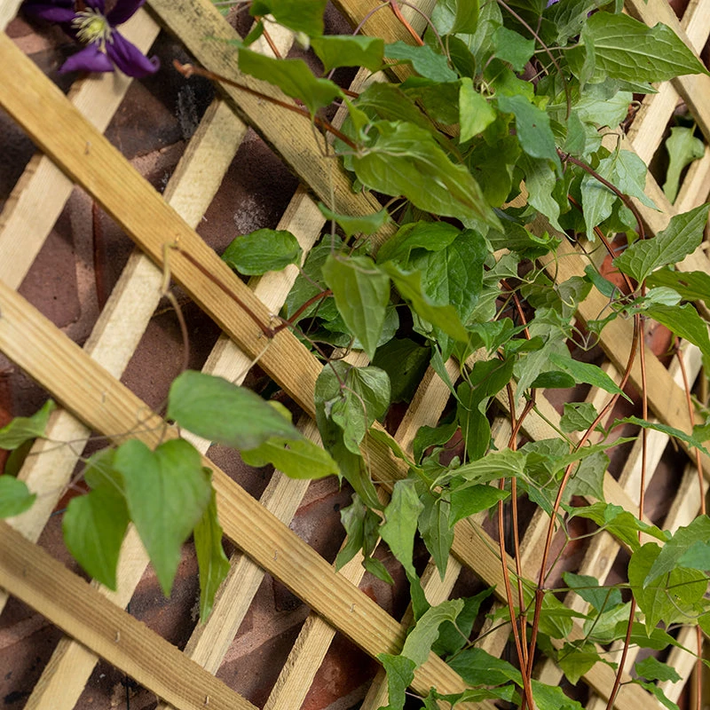 Forest Garden Trellis Planter - Image 3