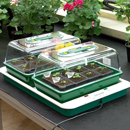 Fixed Temperature Propagator - Image 2