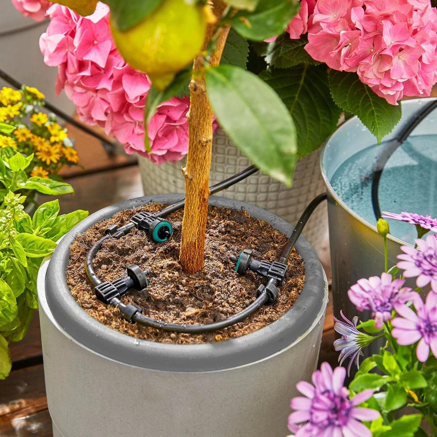 Gardena AquaBloom Solar Powered Watering System - Image 7
