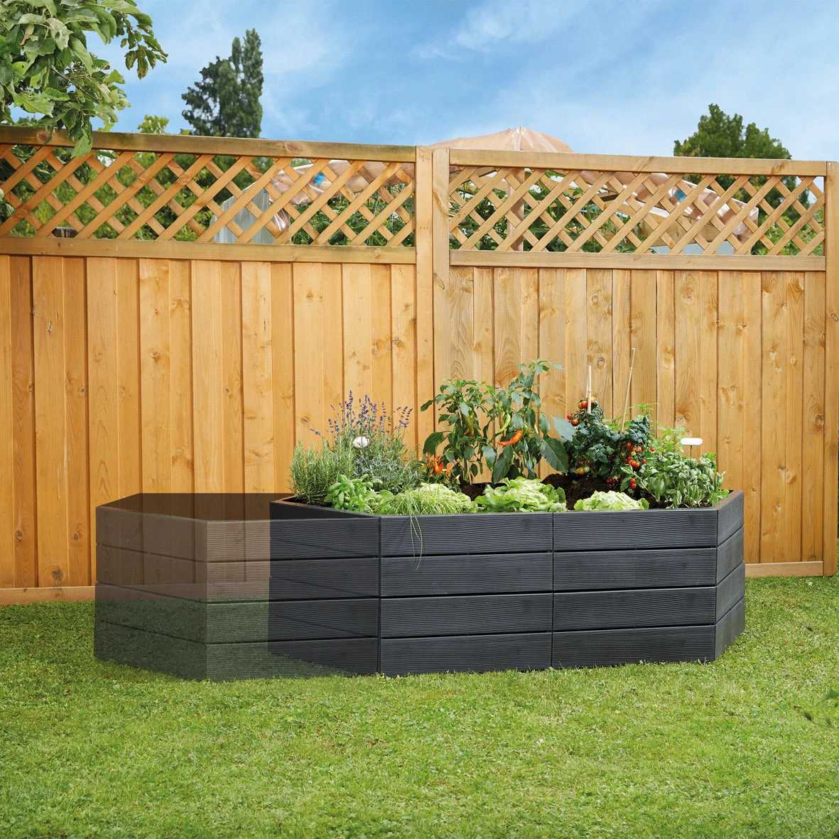 Special Offer Ergo Raised Bed Set - Image 2