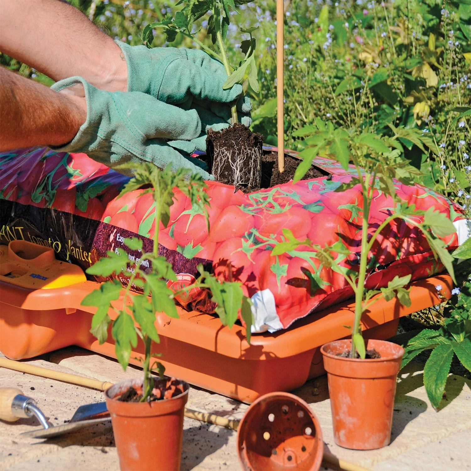 Hozelock Growbag Waterer - Image 7