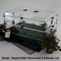 EarlyGrow Propagator