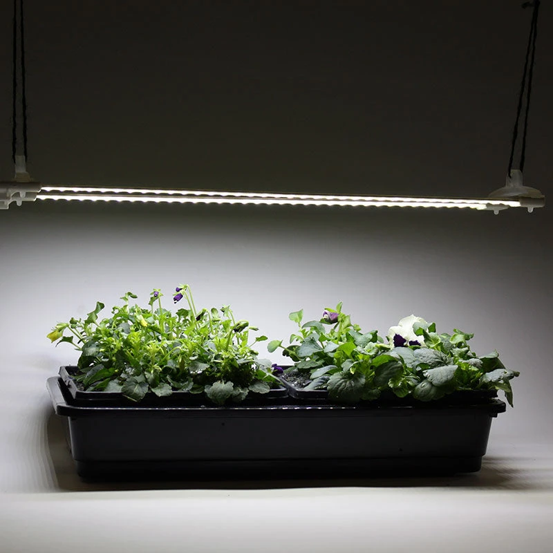Cosmorrow LED Grow Lights - Image 3