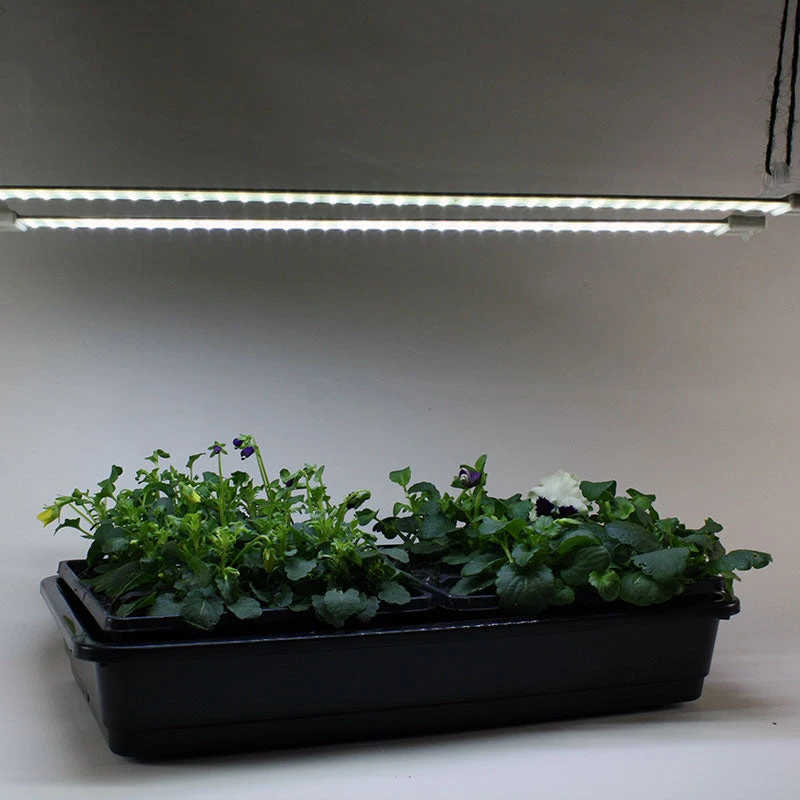 Cosmorrow LED Grow Lights - Image 2