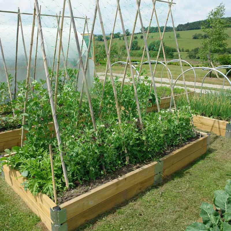 Raised Bed Cloche Kits - Image 2