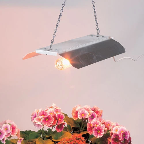 Professional Digital 600w Propagation Light - Image 3