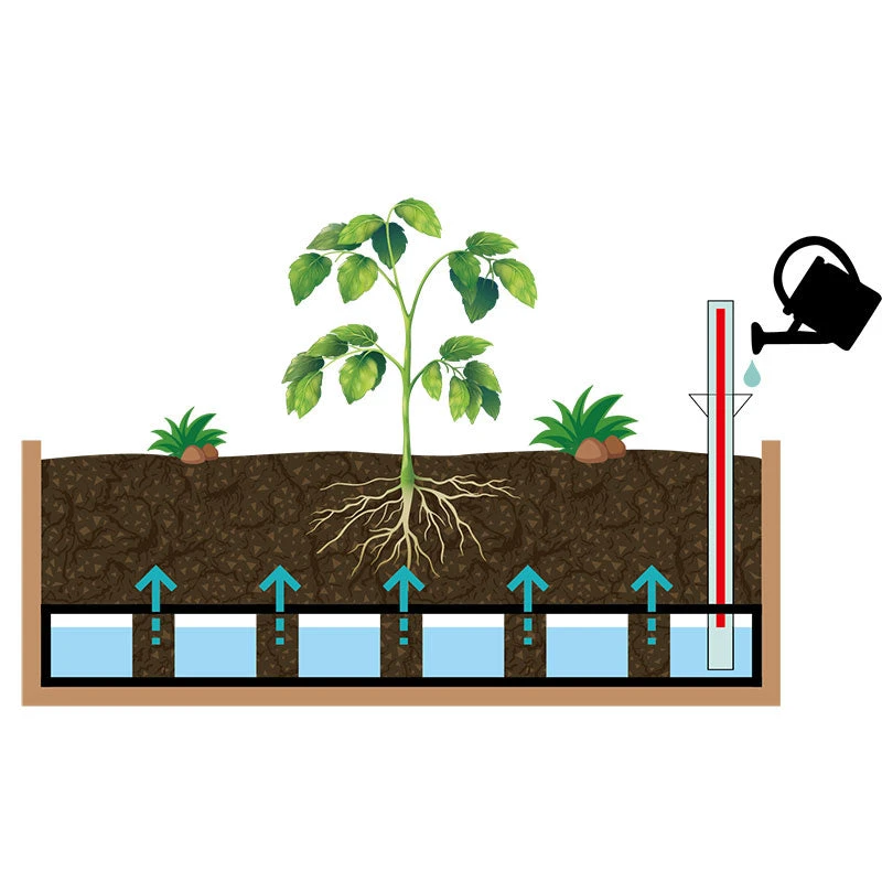 Vegtrug WallHugger Self Watering Kit - Image 5