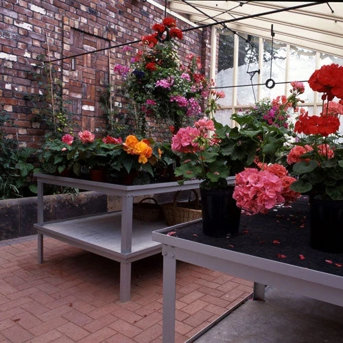 Commercial Bench - Two Tier - Image 5