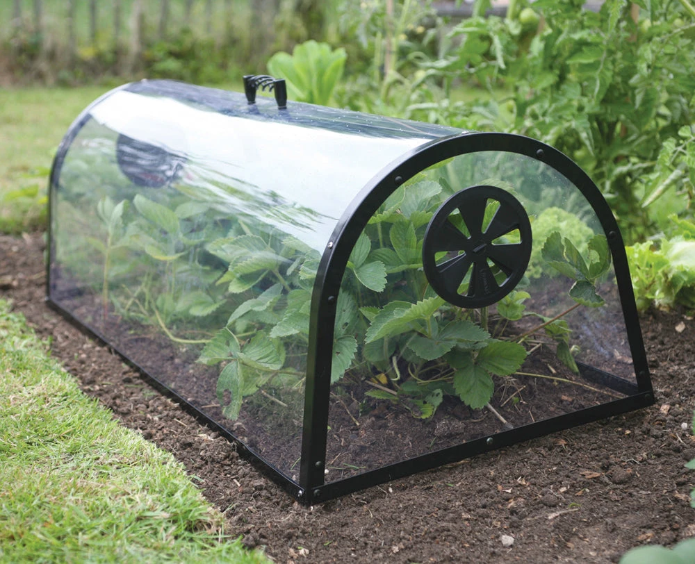 Kitchen Garden Cloche - Image 6