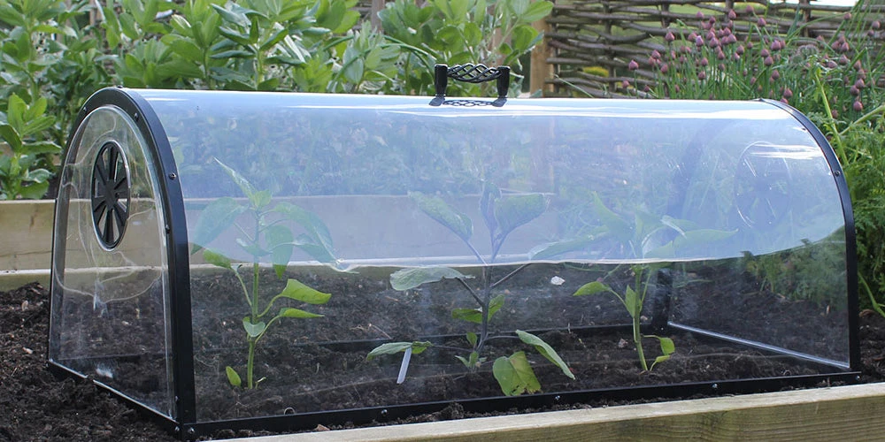 Kitchen Garden Cloche - Image 3