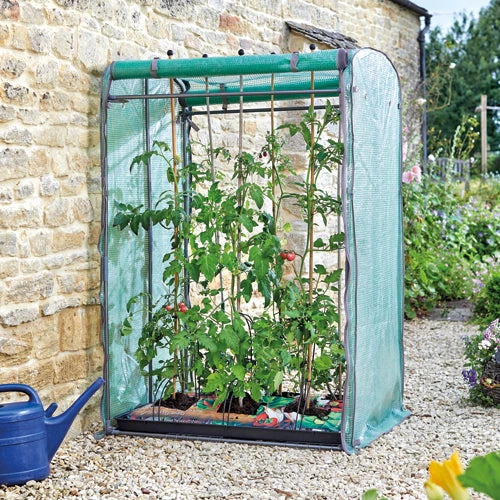 Double Sided Tomato Gro-Zone Max