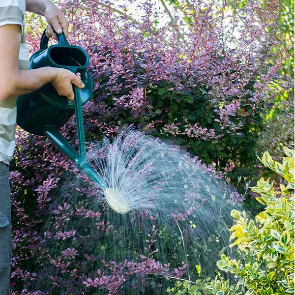 Haws Outdoor Long Reach Watering Can - Image 2