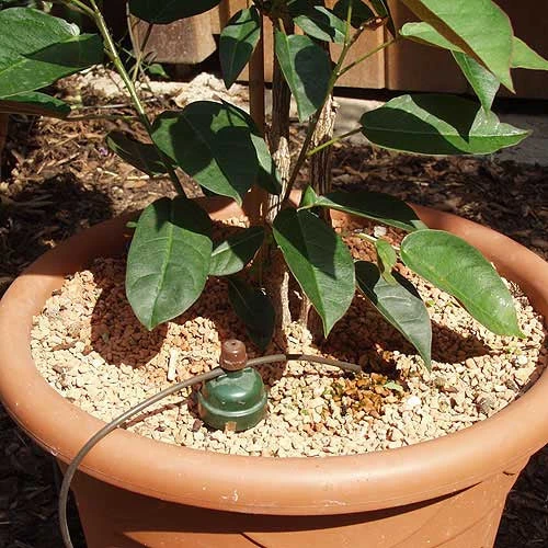 Tropf Blumat Tank Kit - Image 5