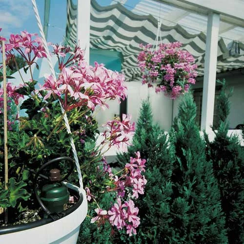 Tropf Blumat Tank Kit - Image 4