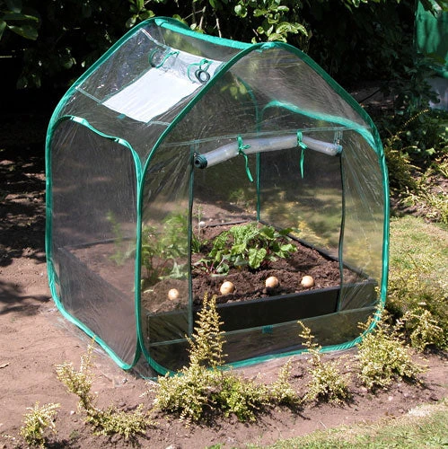 Large Raised Bed With Pop Up Mini Greenhouse - Image 3