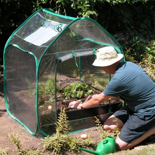 Large Raised Bed With Pop Up Mini Greenhouse - Image 2
