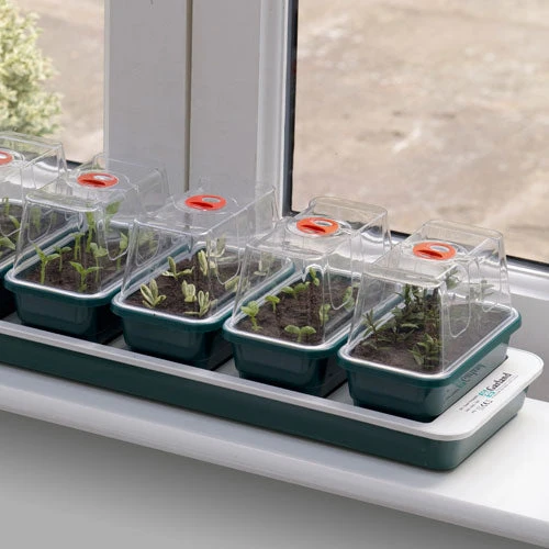 Window Sill Propagator With 14 Seed Trays And Covers - Image 8
