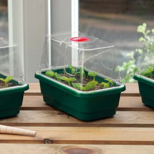 Window Sill Propagator With 14 Seed Trays And Covers - Image 4