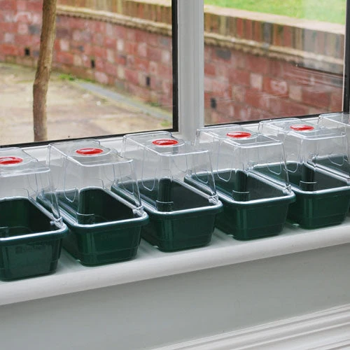 Window Sill Propagator With 14 Seed Trays And Covers - Image 3