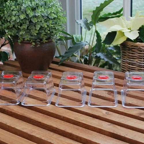 Window Sill Propagator With 14 Seed Trays And Covers - Image 2