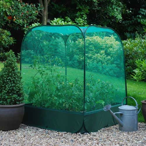 Large Raised Bed With Pop Up Net Cover