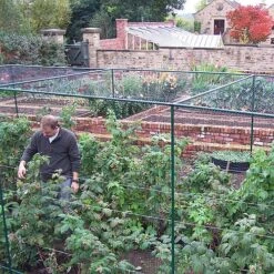 Deluxe 6' High Fruit Cage