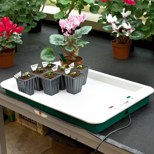 Fixed Temperature Propagator Base