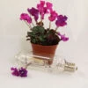 Lamp For Professional Grow Light