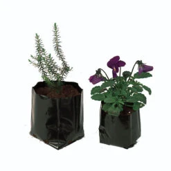 Polythene Pots