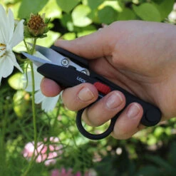 Darlac Deadheading Snips