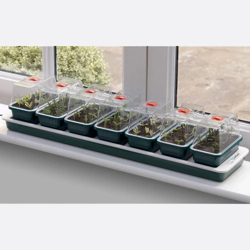 Window Sill Propagator - Image 6