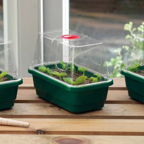 Window Sill Propagator - Image 3