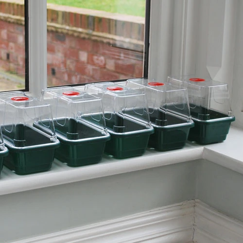 Window Sill Propagator - Image 2