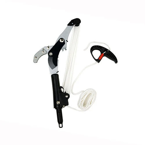 Geared Pruning Head For Swop Top System